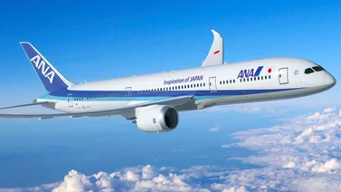 Pasajeros de una aerolínea japonesa pudieron celebrar el año nuevo dos veces gracias al cambio horario