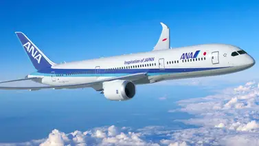 Pasajeros de una aerolínea japonesa pudieron celebrar el año nuevo dos veces gracias al cambio horario Pasajeros de una aerolínea japonesa pudieron celebrar el año nuevo dos veces gracias al cambio horario