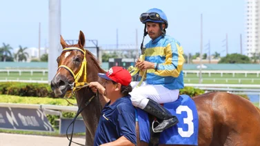 Jockey boricua gana la primera carrera del año en Gulfstream Park