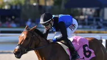 Junior Alvarado ganó el último Stakes para yeguas del Championship Meet 2023 en Gulfstream Park Junior Alvarado ganó el último Stakes para yeguas del Championship Meet 2023 en Gulfstream Park