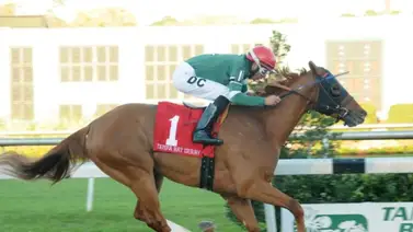 Daniel Centeno gana en Tampa Bay con ejemplar de entrenador venezolano Daniel Centeno gana en Tampa Bay con ejemplar de entrenador venezolano