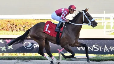 Paco López cierra el 2023 con cuarteto de victorias en el Championship Meet en Gulfstream Park