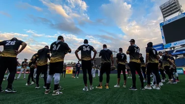 LVBP: Así podría lucir el lineup de Leones del Caracas con Balbino Fuenmayor (+Video)