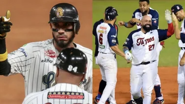 LVBP: ¿Quién ganó la serie entre Leones y Tigres en el Monumental Simón Bolívar? (+Video)