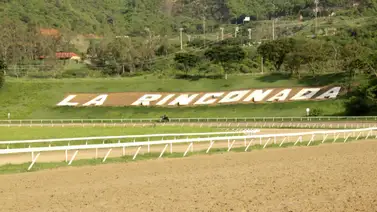 Desbocado arrasó en pronósticos y aciertos de La Rinconada en 2023 Desbocado arrasó en pronósticos y aciertos de La Rinconada en 2023