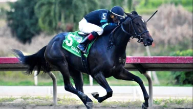 Sarai gana el primer clásico del año en Puerto Rico