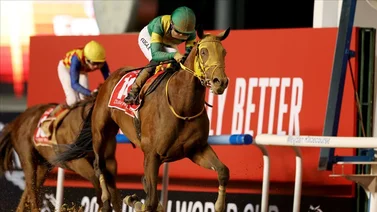 Ushba Tesoro iría por la repetida en la Dubai World Cup 2024