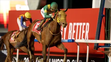 Ushba Tesoro iría por la repetida en la Dubai World Cup 2024 Ushba Tesoro iría por la repetida en la Dubai World Cup 2024