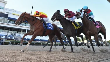 Hijo de Curlin se mantiene invicto y consigue su primer Stakes en Gulfstream Park