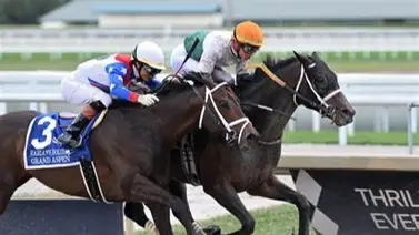 Conoce los tres ejemplares que corrieron este Stakes en Gulfstream Park y pueden estar en la Pegasus World Cup Conoce los tres ejemplares que corrieron este Stakes en Gulfstream Park y pueden estar en la Pegasus World Cup
