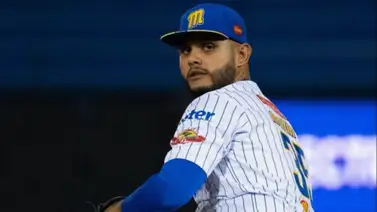 LIDOM: Estos son los venezolanos que actúan como refuerzos en Dominicana (+Números) LIDOM: Estos son los venezolanos que actúan como refuerzos en Dominicana (+Números)