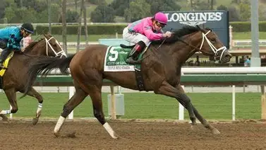 Jockey campeón regresa luego de un descanso voluntario para superar problemas mentales Jockey campeón regresa luego de un descanso voluntario para superar problemas mentales