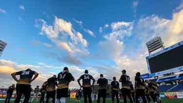 LVBP: ¡Peligro! Una manada de leones anda suelta en el Monumental (+Video) LVBP: ¡Peligro! Una manada de leones anda suelta en el Monumental (+Video)