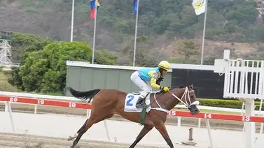Potra hija de madre venezolana llega segunda en este hipódromo de Estados Unidos Potra hija de madre venezolana llega segunda en este hipódromo de Estados Unidos