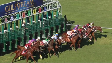 Debuta en Gulfstream Park potra medio hermana de un ganador del Preakness