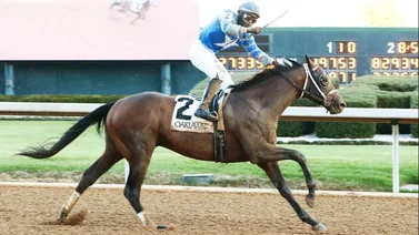 Este potro gana en Oaklawn Park los primeros puntos repartidos en la ruta al Kentucky Derby