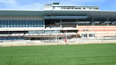 Aqueduct tendrá el Día de Reyes este stakes que da puntos al Kentucky Derby Aqueduct tendrá el Día de Reyes este stakes que da puntos al Kentucky Derby