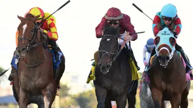 Estos fueron los primeros ganadores de stakes en Gulfstream Park al comenzar el año Estos fueron los primeros ganadores de stakes en Gulfstream Park al comenzar el año