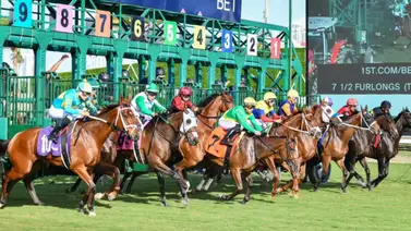 ¿Sabes cuántos stakes restan por disputarse en el mes de enero? Aquí te lo decimos ¿Sabes cuántos stakes restan por disputarse en el mes de enero? Aquí te lo decimos