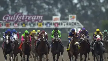 Conoce las montas para esta semana de los lideres del Championship Meet Conoce las montas para esta semana de los lideres del Championship Meet