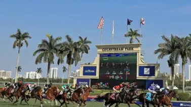 Jockey venezolano con más de 50 años de experiencia tendrá su primera monta de 2024 este fin de semana en Gulfstream Park Jockey venezolano con más de 50 años de experiencia tendrá su primera monta de 2024 este fin de semana en Gulfstream Park