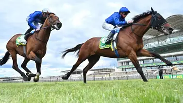 Ganador de la Breeders’Cup Mile 2023 buscará repetir un Stakes en el inicio del Dubai Racing Carnival este viernes Ganador de la Breeders’Cup Mile 2023 buscará repetir un Stakes en el inicio del Dubai Racing Carnival este viernes