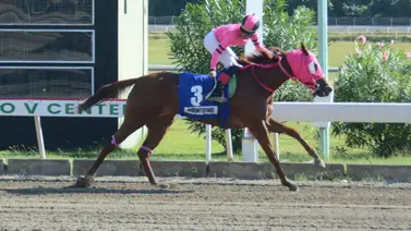 Este venezolano entrenó a la primera ganadora de 2024 en República Dominicana Este venezolano entrenó a la primera ganadora de 2024 en República Dominicana