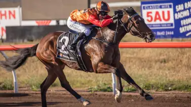 Yoqueta pagará suspensión de ocho reuniones por esta increíble razón (+video) Yoqueta pagará suspensión de ocho reuniones por esta increíble razón (+video)
