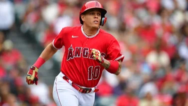 MLB: En Nueva York están interesados por veterano colombiano