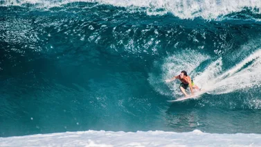 Encuentro fatal: Muere surfista en Hawaii al encontrarse con un temible depredador