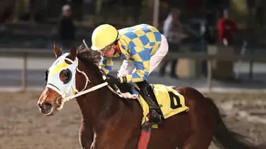 Mychel Sánchez duplica en la jornada del miércoles en Parx Racing Mychel Sánchez duplica en la jornada del miércoles en Parx Racing