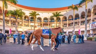 Estos son los primeros purasangres invitados para correr la Pegasus World Cup Estos son los primeros purasangres invitados para correr la Pegasus World Cup