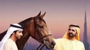 Este es el propietario de caballos de carrera mayor productor de dinero en 2023 en Estados Unidos y Canadá Este es el propietario de caballos de carrera mayor productor de dinero en 2023 en Estados Unidos y Canadá