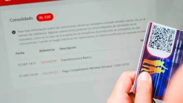 Paso a paso: ¿Cómo cobrar los bonos de la Patria en el 2024?
