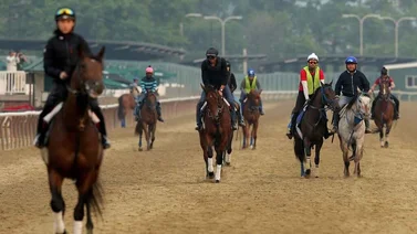 Así trabajaron esta semana 9 ganadores clásicos y 2 prospectos al Derby de Kentucky 2024