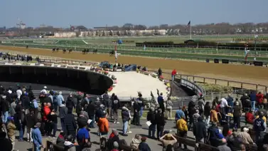 Así jugaremos el Pick Six de Aqueduct el jueves 04-01-2024 Así jugaremos el Pick Six de Aqueduct el jueves 04-01-2024