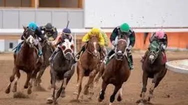 Estos son los jinetes y entrenadores que inician más "encendidos" el año 2024 en Estados Unidos Estos son los jinetes y entrenadores que inician más "encendidos" el año 2024 en Estados Unidos