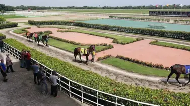 Este será el primer clásico de la temporada en República Dominicana Este será el primer clásico de la temporada en República Dominicana