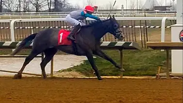 Jockey boricua candidato a ganar el aprendiz del año 2023 llega a esta increíble cantidad de triunfos en Estados Unidos Jockey boricua candidato a ganar el aprendiz del año 2023 llega a esta increíble cantidad de triunfos en Estados Unidos