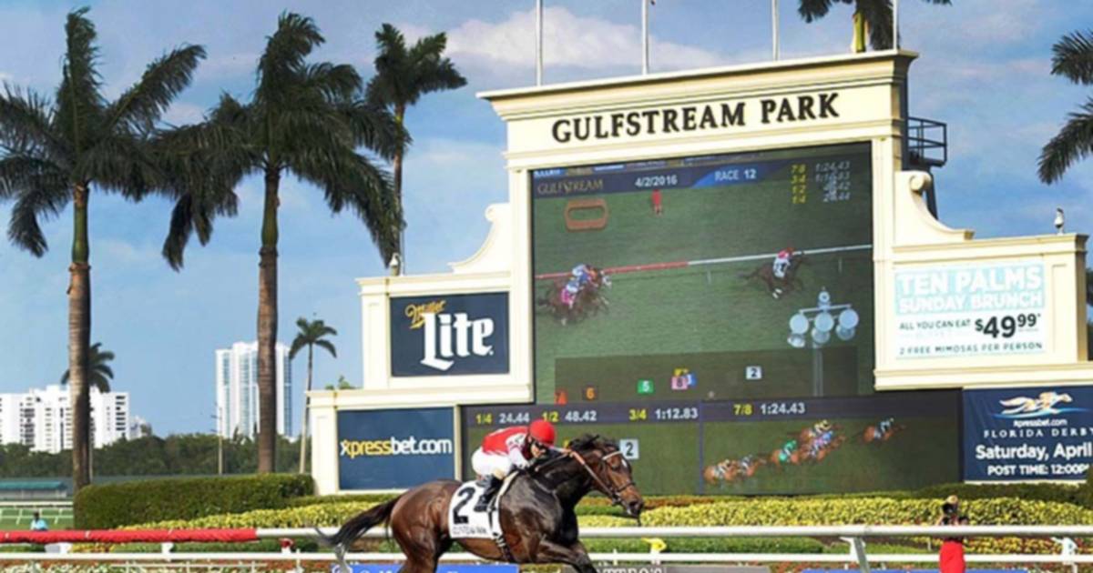 Así jugaremos el Pick Six en Gulfstream Park el viernes 05012024