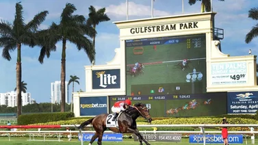 Así jugaremos el Pick Six en Gulfstream Park el viernes 05-01-2024