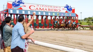 Yeguas nativas se enfrentan este sábado por el Clásico Día de Reyes en Puerto Rico Yeguas nativas se enfrentan este sábado por el Clásico Día de Reyes en Puerto Rico