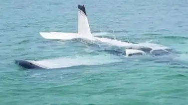 Un accidente de avioneta deja un saldo negativo en San Vicente y las Granadinas (+Video) Un accidente de avioneta deja un saldo negativo en San Vicente y las Granadinas (+Video)