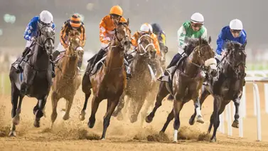 Así actuaron los ejemplares suramericanos este viernes en Dubai Así actuaron los ejemplares suramericanos este viernes en Dubai