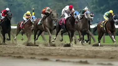 ¡Nada alentador! Apuestas hípicas en Estados Unidos disminuyen en 2023 y estas son las cifras ¡Nada alentador! Apuestas hípicas en Estados Unidos disminuyen en 2023 y estas son las cifras