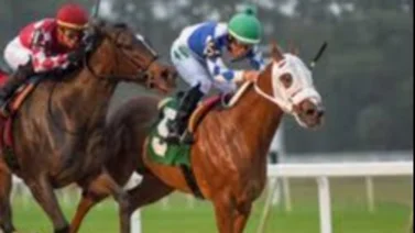 Samy Camacho rueda en Tampa Bay Downs y esta es su condición