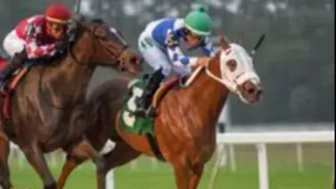 Samy Camacho rueda en Tampa Bay Downs y esta es su condición Samy Camacho rueda en Tampa Bay Downs y esta es su condición