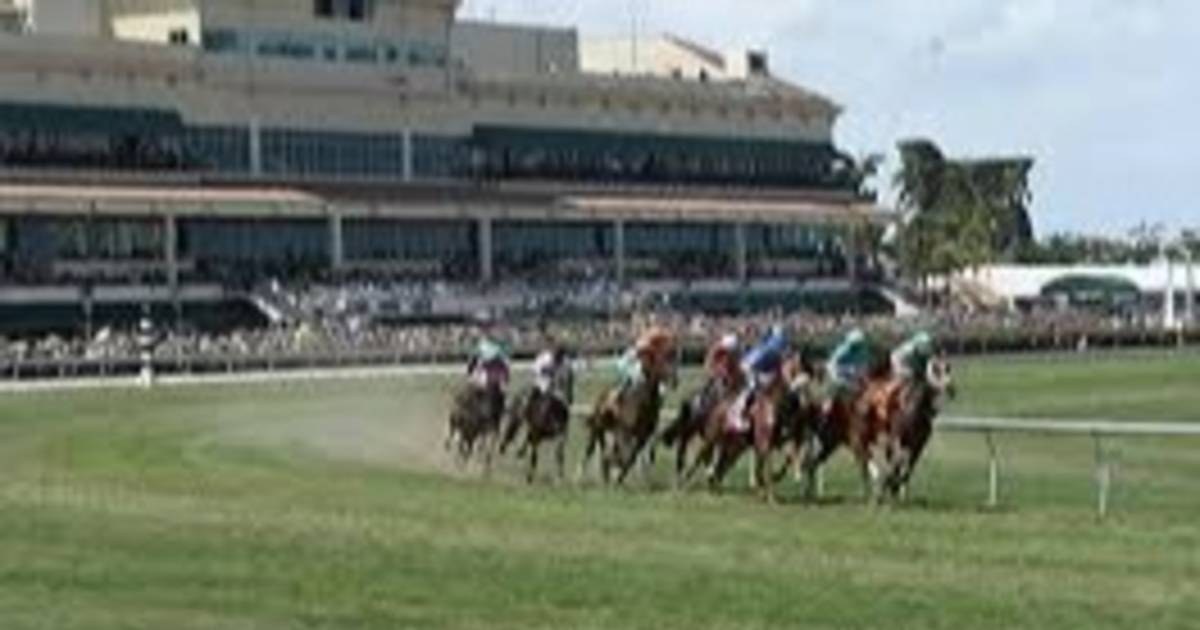 Así jugaremos el Pick Six de Gulfstream Park el sábado 06012024