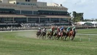 Así jugaremos el Pick Six de Gulfstream Park el sábado 06-01-2024