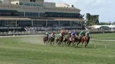 Así jugaremos el Pick Six de Gulfstream Park el sábado 06-01-2024 Así jugaremos el Pick Six de Gulfstream Park el sábado 06-01-2024